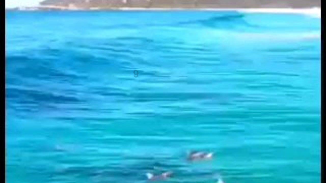 合金装备5