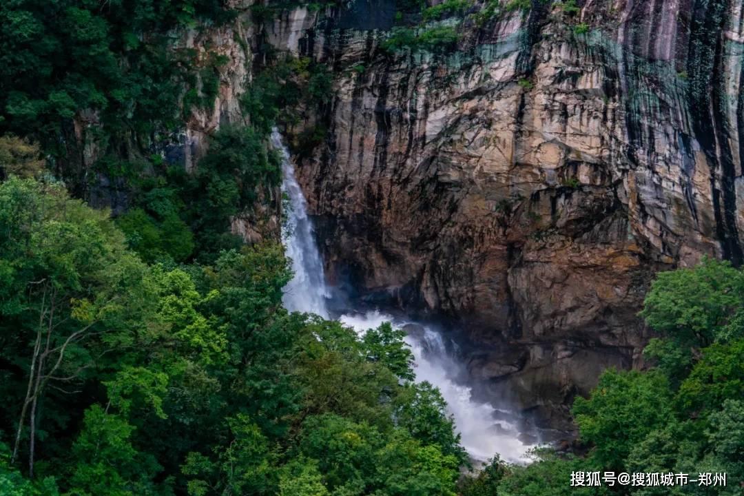 保险的现金价值表是什么意思游戏画面