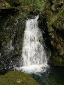 逃离粉红岛