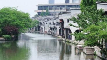 逃离橡子树种植地