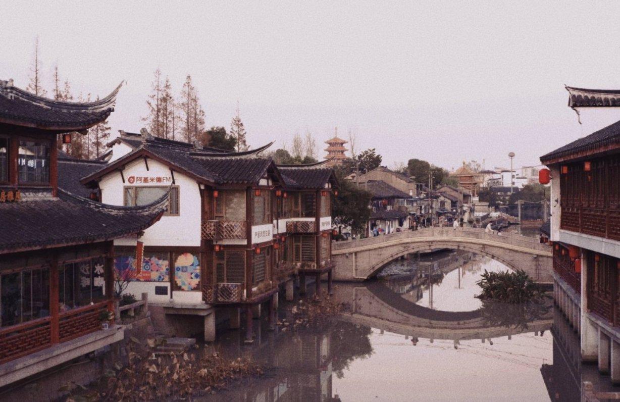 组装机械机甲暴龙2